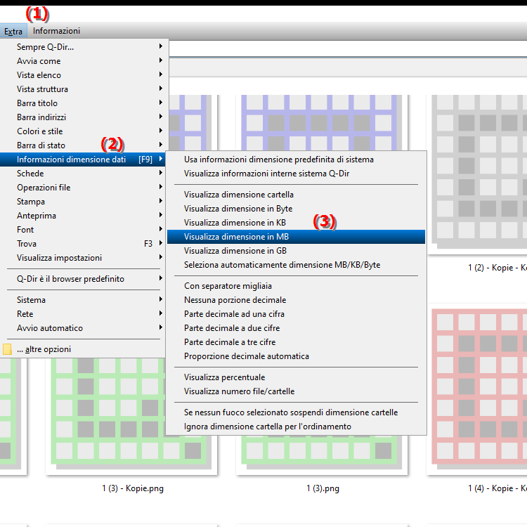 Posso sempre visualizzare la dimensione del file in megabyte in Esplora file